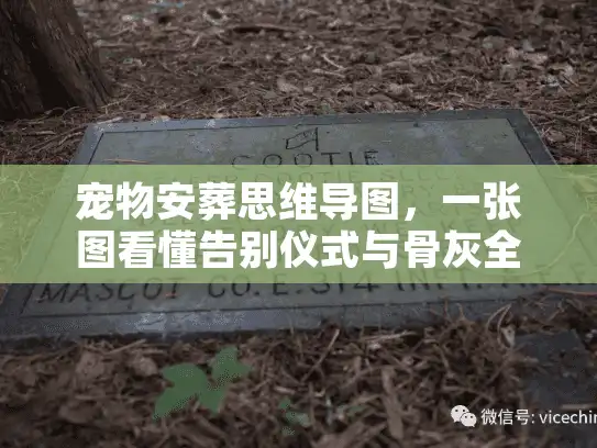 宠物安葬思维导图，一张图看懂告别仪式与骨灰全流程