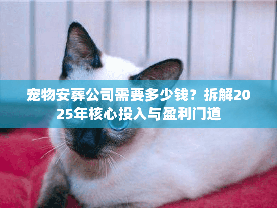 宠物安葬公司需要多少钱？拆解2025年核心投入与盈利门道