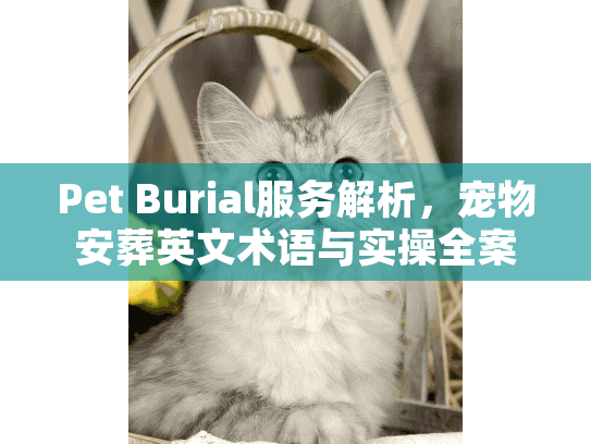 Pet Burial服务解析，宠物安葬英文术语与实操全案