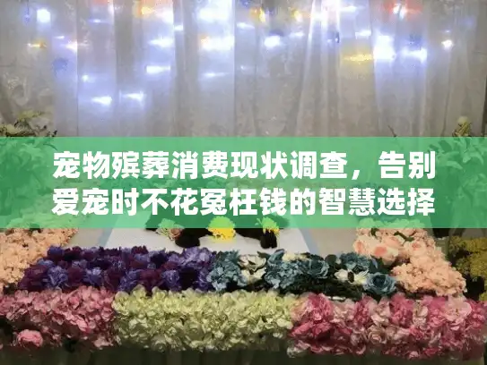 宠物殡葬消费现状调查，告别爱宠时不花冤枉钱的智慧选择