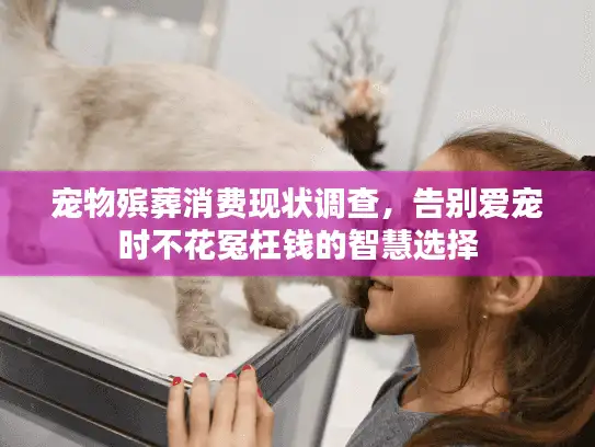 宠物殡葬消费现状调查，告别爱宠时不花冤枉钱的智慧选择