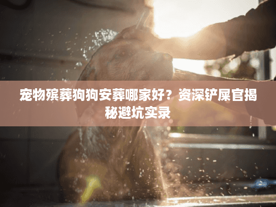 宠物殡葬狗狗安葬哪家好？资深铲屎官揭秘避坑实录