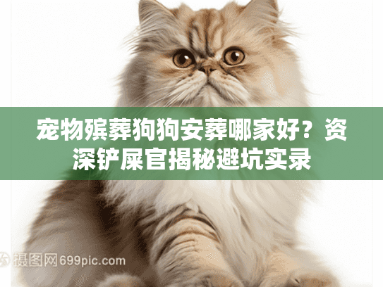 宠物殡葬狗狗安葬哪家好？资深铲屎官揭秘避坑实录