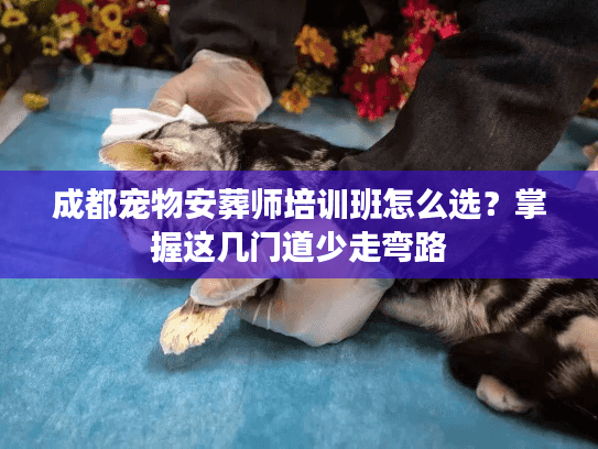 成都宠物安葬师培训班怎么选？掌握这几门道少走弯路