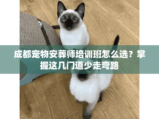 成都宠物安葬师培训班怎么选？掌握这几门道少走弯路