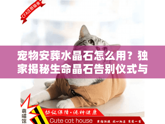 宠物安葬水晶石怎么用?独家揭秘生命晶石告别仪式与实操细节 宠物安葬水晶石怎么用?独家揭秘生命晶石告别仪式与实操细节