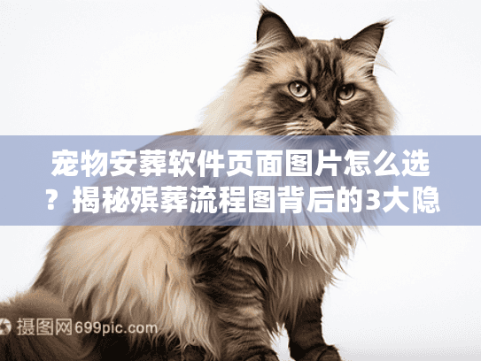 宠物安葬软件页面图片怎么选？揭秘殡葬流程图背后的3大隐形陷阱