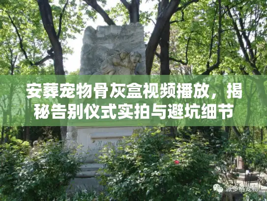 安葬宠物骨灰盒视频播放,揭秘告别仪式实拍与避坑细节 安葬宠物骨灰盒视频播放,揭秘告别仪式实拍与避坑细节