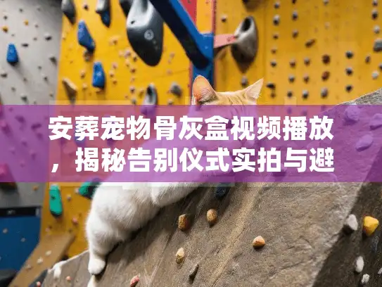 安葬宠物骨灰盒视频播放,揭秘告别仪式实拍与避坑细节 安葬宠物骨灰盒视频播放,揭秘告别仪式实拍与避坑细节