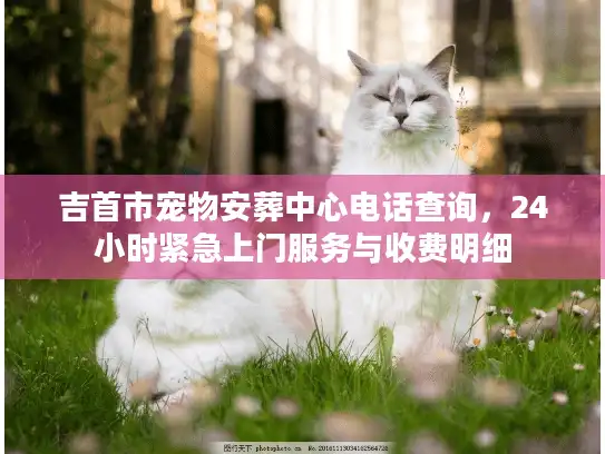吉首市宠物安葬中心电话查询，24小时紧急上门服务与收费明细