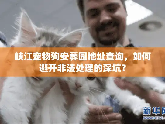 峡江宠物狗安葬园地址查询,如何避开非法处理的深坑? 峡江宠物狗安葬园地址查询,如何避开非法处理的深坑?