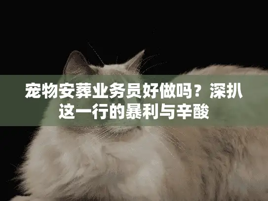 宠物安葬业务员好做吗？深扒这一行的暴利与辛酸