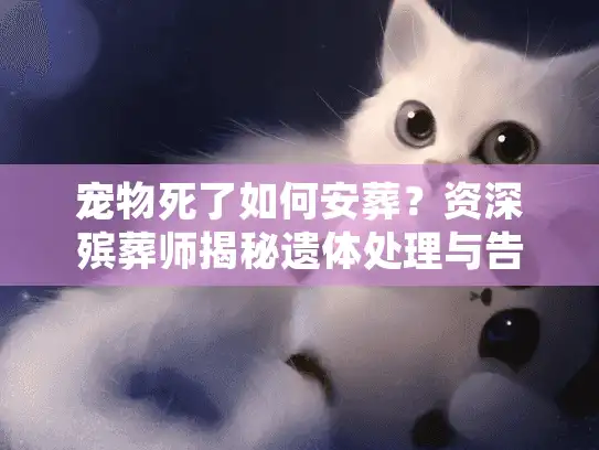 宠物死了如何安葬？资深殡葬师揭秘遗体处理与告别仪式全案