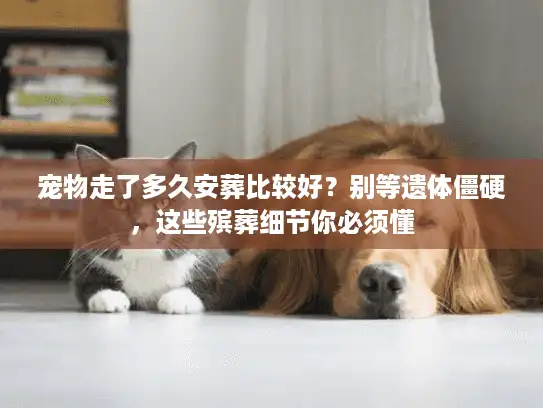 宠物走了多久安葬比较好？别等遗体僵硬，这些殡葬细节你必须懂