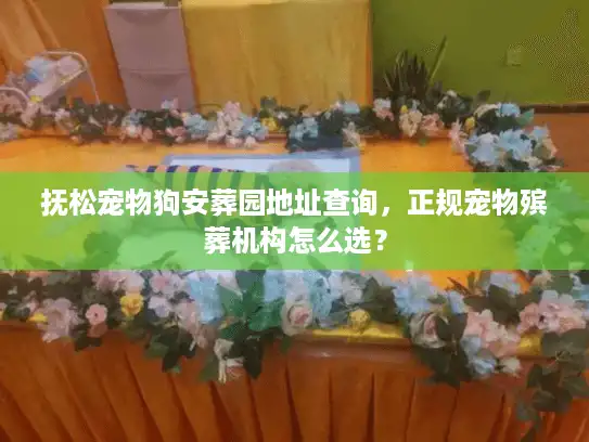 抚松宠物狗安葬园地址查询，正规宠物殡葬机构怎么选？