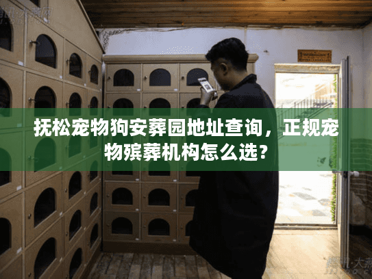 抚松宠物狗安葬园地址查询，正规宠物殡葬机构怎么选？