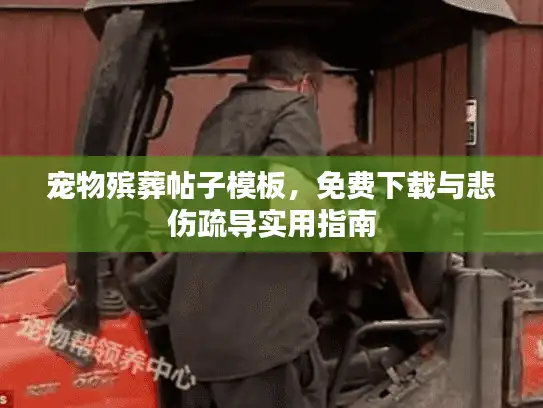 宠物殡葬帖子模板,免费下载与悲伤疏导实用指南 宠物殡葬帖子模板,免费下载与悲伤疏导实用指南