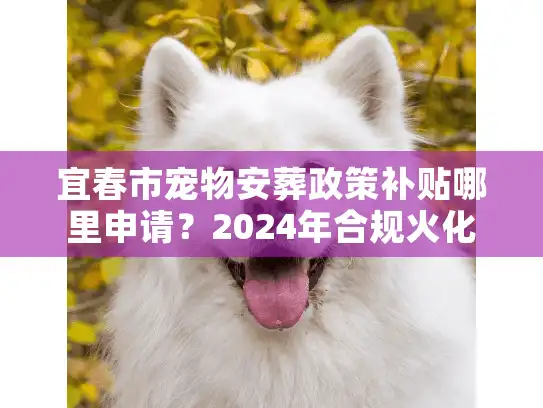 宜春市宠物安葬政策补贴哪里申请？2024年合规火化省钱实操