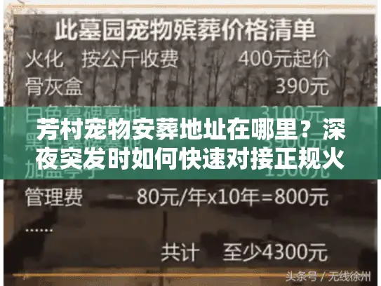 芳村宠物安葬地址在哪里?深夜突发时如何快速对接正规火化场 芳村宠物安葬地址在哪里?深夜突发时如何快速对接正规火化场