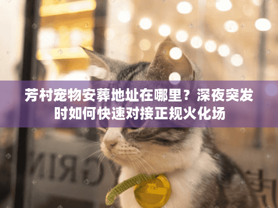 芳村宠物安葬地址在哪里?深夜突发时如何快速对接正规火化场 芳村宠物安葬地址在哪里?深夜突发时如何快速对接正规火化场