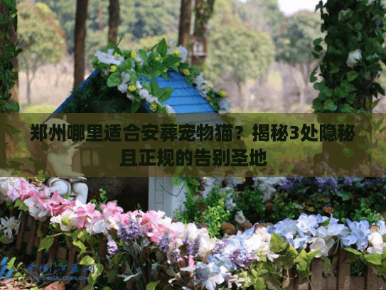 郑州哪里适合安葬宠物猫？揭秘3处隐秘且正规的告别圣地