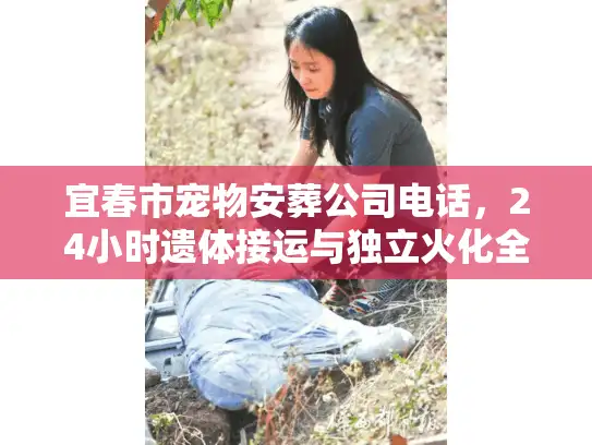 宜春市宠物安葬公司电话，24小时遗体接运与独立火化全解