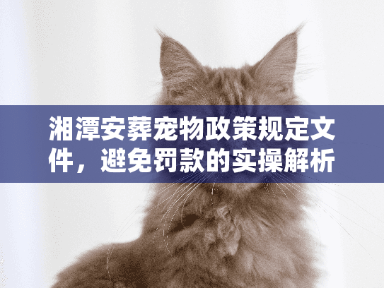 湘潭安葬宠物政策规定文件，避免罚款的实操解析