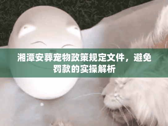 湘潭安葬宠物政策规定文件，避免罚款的实操解析