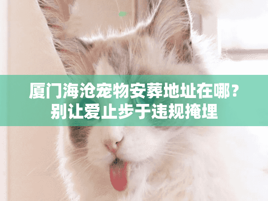 厦门海沧宠物安葬地址在哪？别让爱止步于违规掩埋