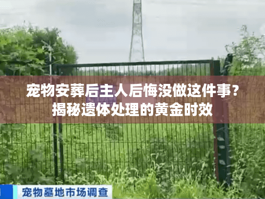 宠物安葬后主人后悔没做这件事？揭秘遗体处理的黄金时效