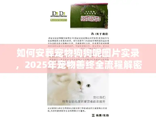 如何安葬宠物狗狗呢图片实录，2025年宠物善终全流程解密