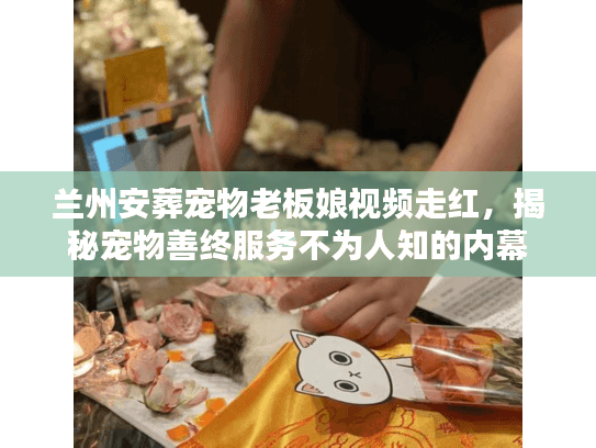 兰州安葬宠物老板娘视频走红，揭秘宠物善终服务不为人知的内幕