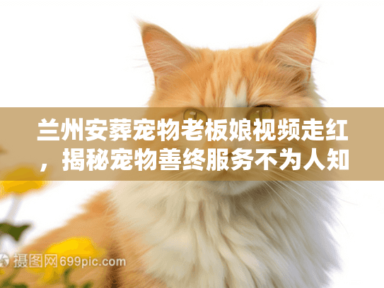 兰州安葬宠物老板娘视频走红，揭秘宠物善终服务不为人知的内幕