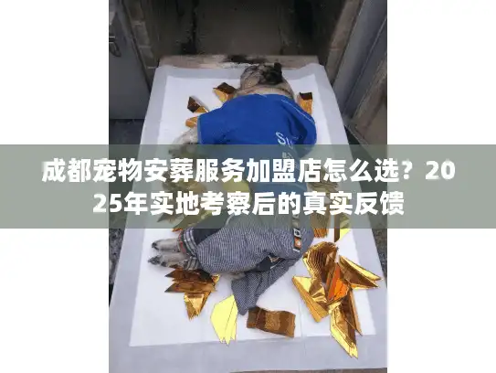 成都宠物安葬服务加盟店怎么选？2025年实地考察后的真实反馈