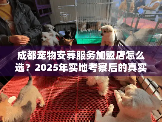 成都宠物安葬服务加盟店怎么选？2025年实地考察后的真实反馈