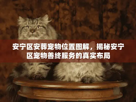 安宁区安葬宠物位置图解，揭秘安宁区宠物善终服务的真实布局