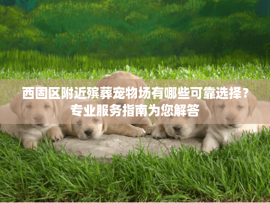 西固区附近殡葬宠物场有哪些可靠选择？专业服务指南为您解答
