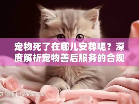 宠物死了在哪儿安葬呢？深度解析宠物善后服务的合规渠道与避坑内幕