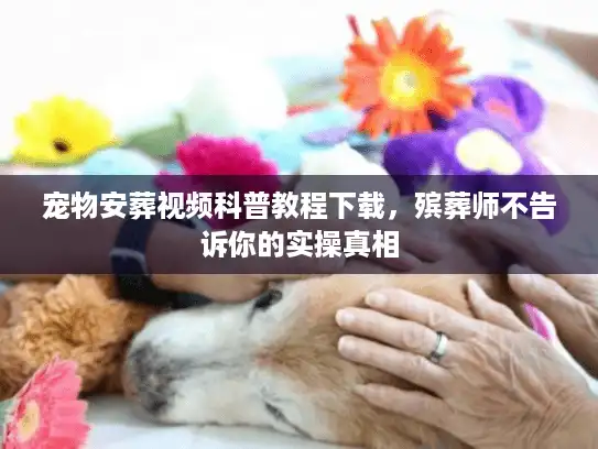 宠物安葬视频科普教程下载，殡葬师不告诉你的实操真相