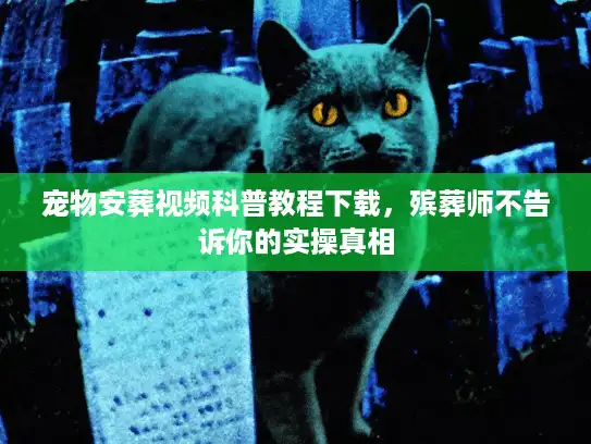 宠物安葬视频科普教程下载，殡葬师不告诉你的实操真相