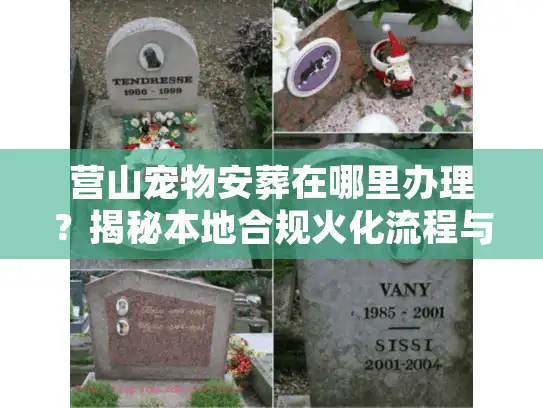 营山宠物安葬在哪里办理？揭秘本地合规火化流程与价格