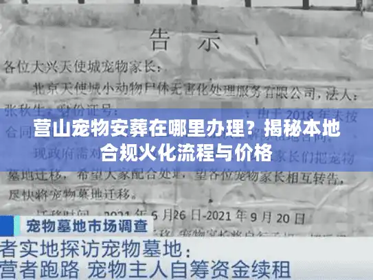 营山宠物安葬在哪里办理？揭秘本地合规火化流程与价格