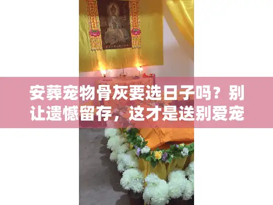 安葬宠物骨灰要选日子吗?别让遗憾留存,这才是送别爱宠的正确姿势 安葬宠物骨灰要选日子吗?别让遗憾留存,这才是送别爱宠的正确姿势