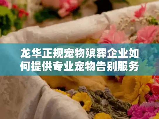龙华正规宠物殡葬企业如何提供专业宠物告别服务？