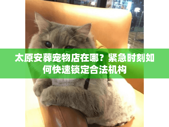 太原安葬宠物店在哪?紧急时刻如何快速锁定合法机构 太原安葬宠物店在哪?紧急时刻如何快速锁定合法机构