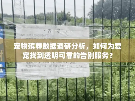 宠物殡葬数据调研分析，如何为爱宠找到透明可靠的告别服务？