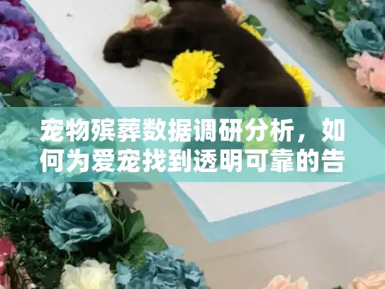 宠物殡葬数据调研分析，如何为爱宠找到透明可靠的告别服务？