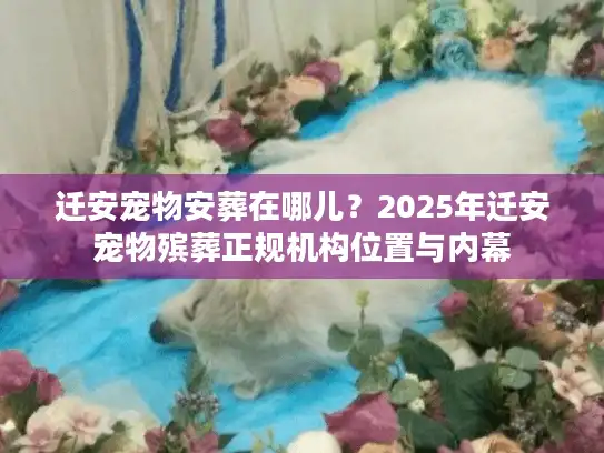 迁安宠物安葬在哪儿？2025年迁安宠物殡葬正规机构位置与内幕