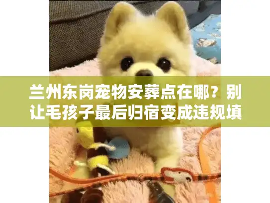 兰州东岗宠物安葬点在哪？别让毛孩子最后归宿变成违规填埋