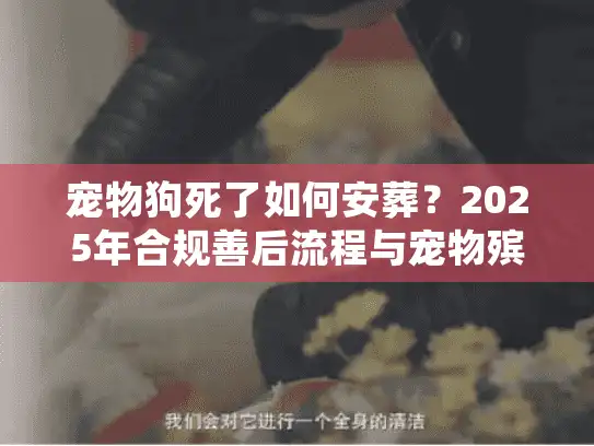 宠物狗死了如何安葬？2025年合规善后流程与宠物殡葬服务避坑